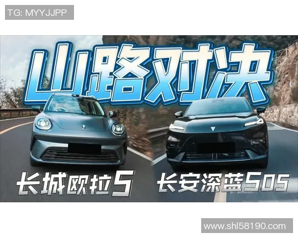 南部鲨鱼与惠灵顿圣徒激战正酣谁能在这场对决中胜出